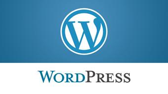 WordPress sites worldwide experience brute force attack